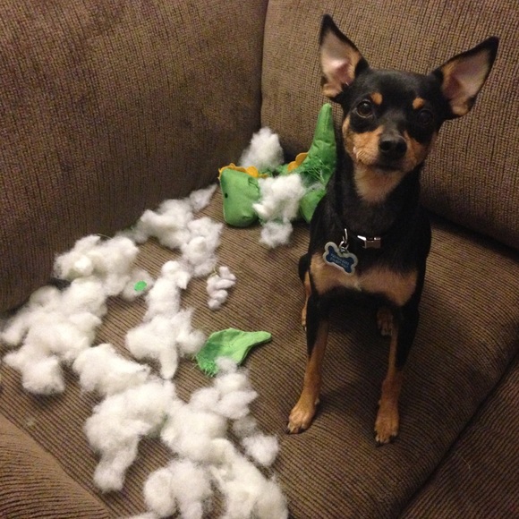 Hi There, Poshers! 👋 - Picture 4 of 5